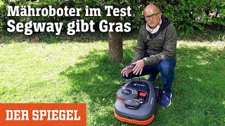 »Navimow«-Mähroboter im Test: Segway gibt Gras | DER SPIEGEL »Navimow«-Mähroboter im Test: Segway gibt Gras | DER SPIEGEL