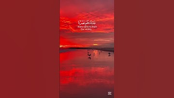 سورة يوسف القارئ عبد الرحمن مسعد #قرآن #اكسبلور #المصحف