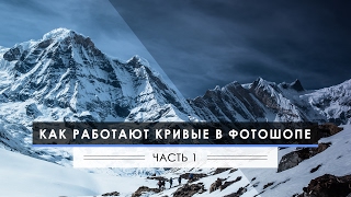 Кривые в Фотошопе: Работа с яркостью и контрастом Кривые в Фотошопе: Работа с яркостью и контрастом