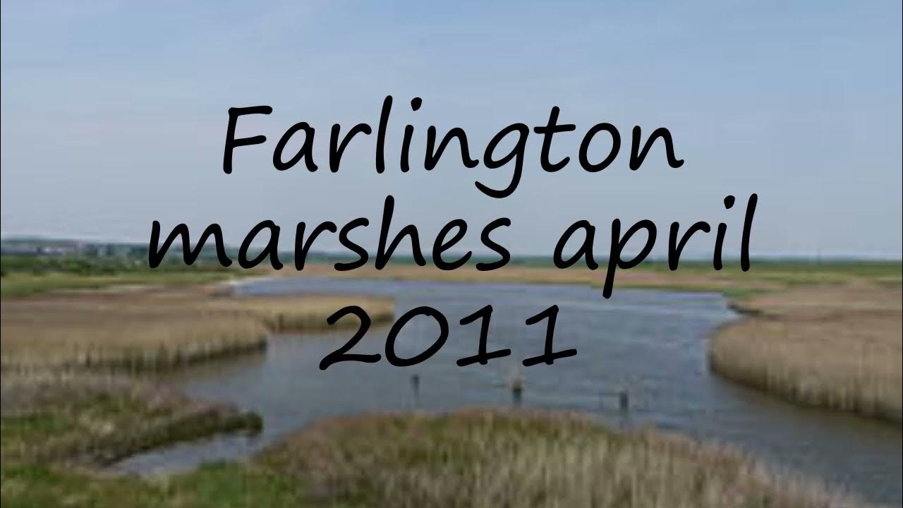 How to pronounce Farlington marshes april 2011 in English?  YouTube
