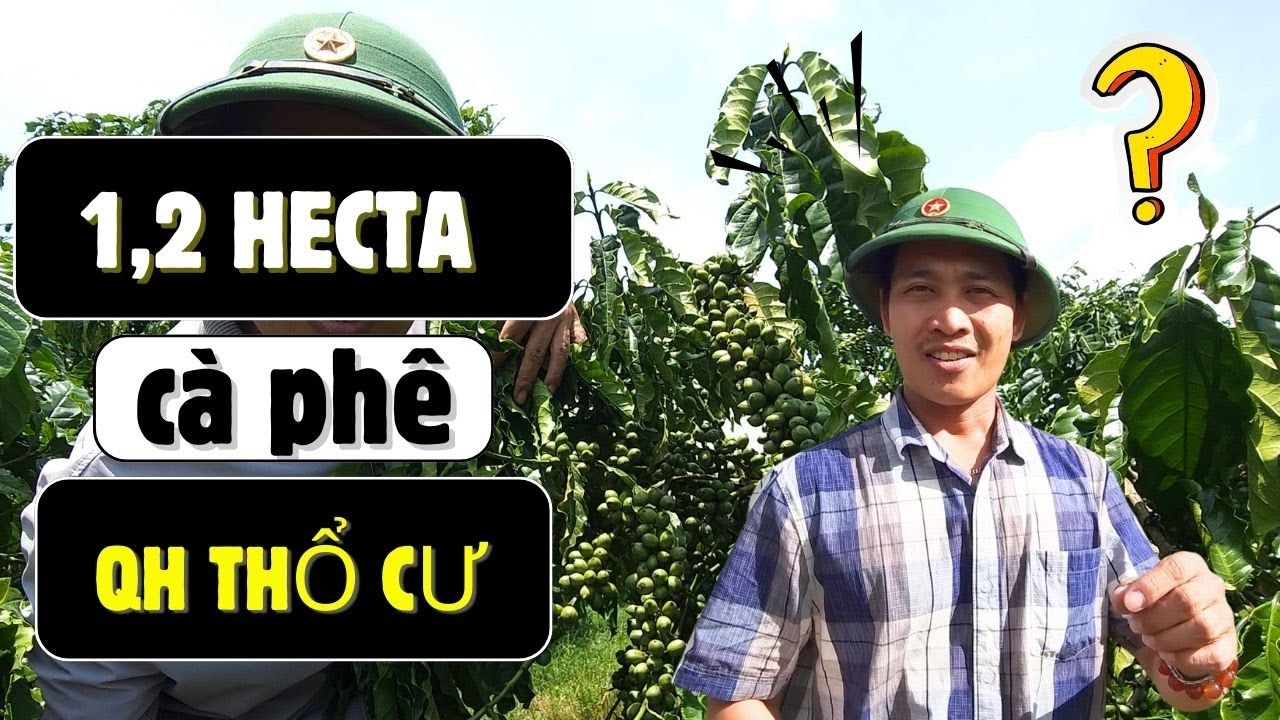 #DVD353 | Đất Ven Đà Lạt | 1,2 hecta gần Sồng lớn làm farm hết ý, hoàn cảnh cần bán gấp