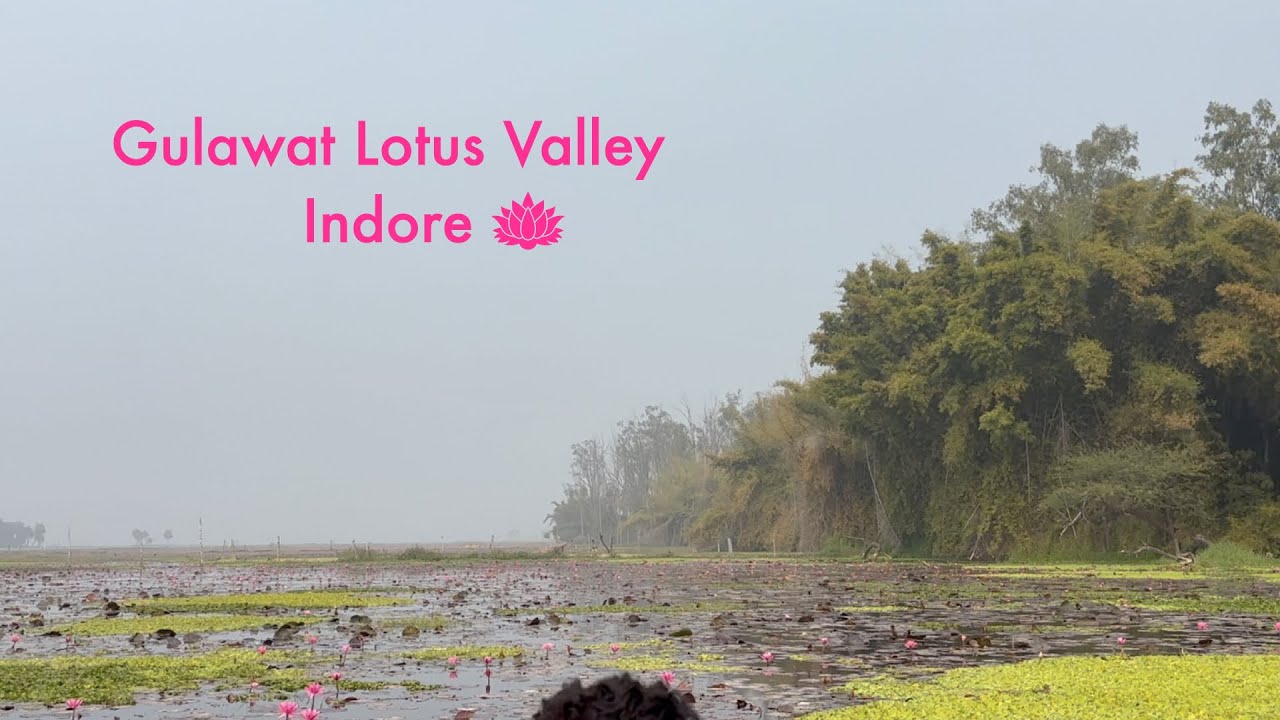 Hidden Paradise of Indore | Gulawat Lotus Valley Full Tour 🌸