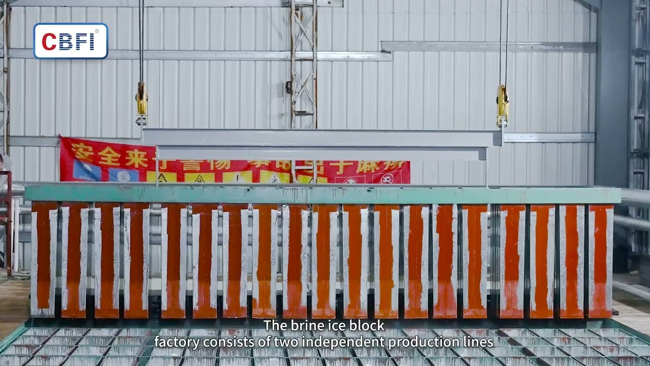 BBI Series 40 Tons Brine Type Block Ice Machine Case