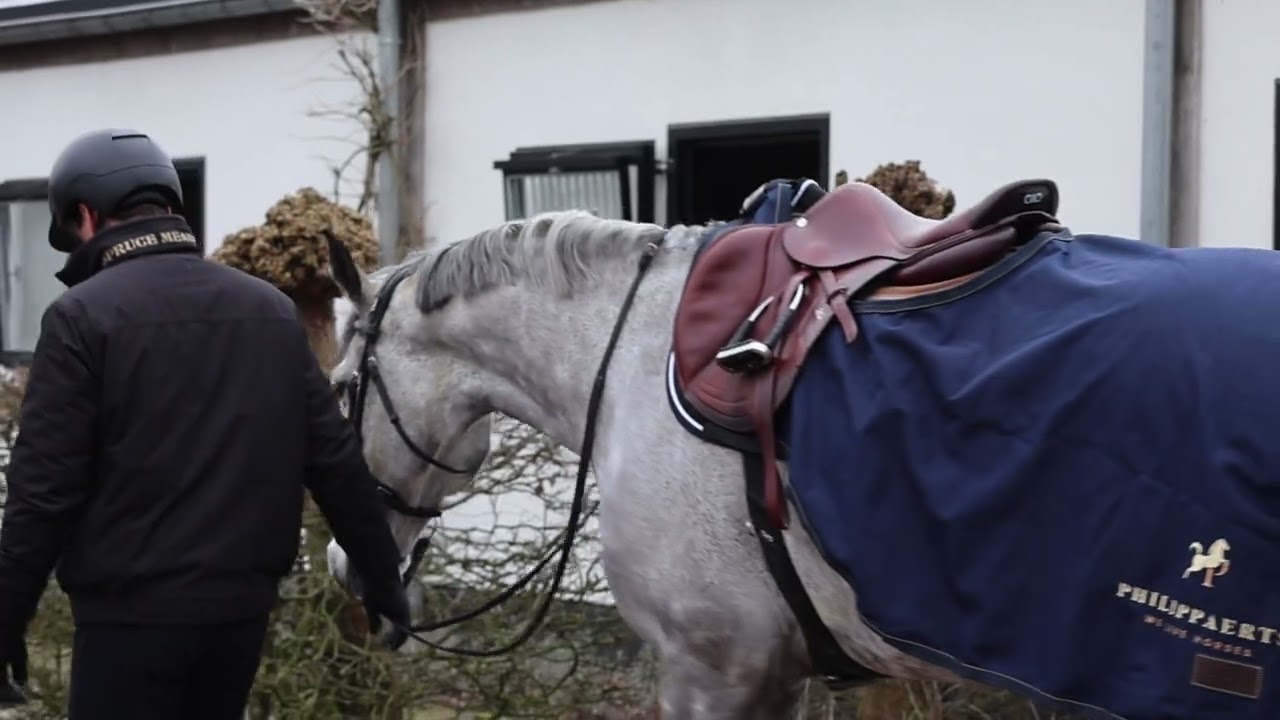 Grooming Deluxe x Team Philippaerts