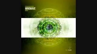 Mindwave - Long Delayed Echoes