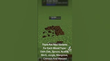 Making a Minecraft Mod Part 5 - Wooden Paths #minecraft #mod #mods #minecraftmods #mcreator #paths