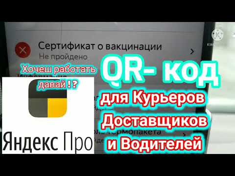 #shorts  в яндекс Pro QR- код Давай хочеш работать