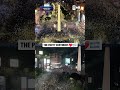 Insane scenes of celebration in Buenos Aires after Argentina's Semifinal win over England
