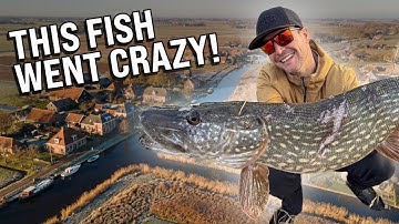 Crazy Fish Caught - Visiting Spots We Fished As Kids