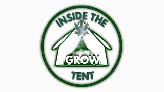 S1E2 Inside The Grow Tent germination is complete and putting them in soil! #InsideTheGrowTent #mmj