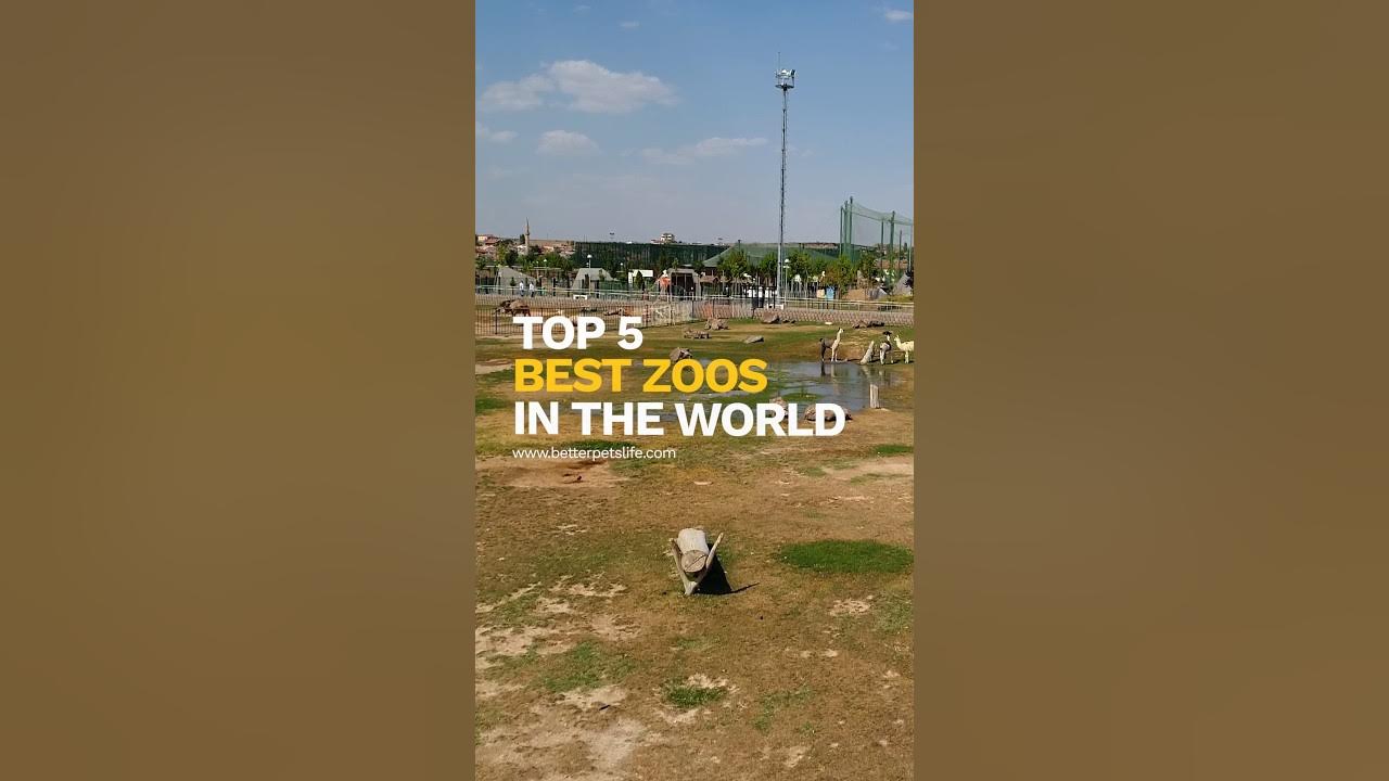 Top 5 Best Zoos in the World 🦓🐘🦒 YouTube