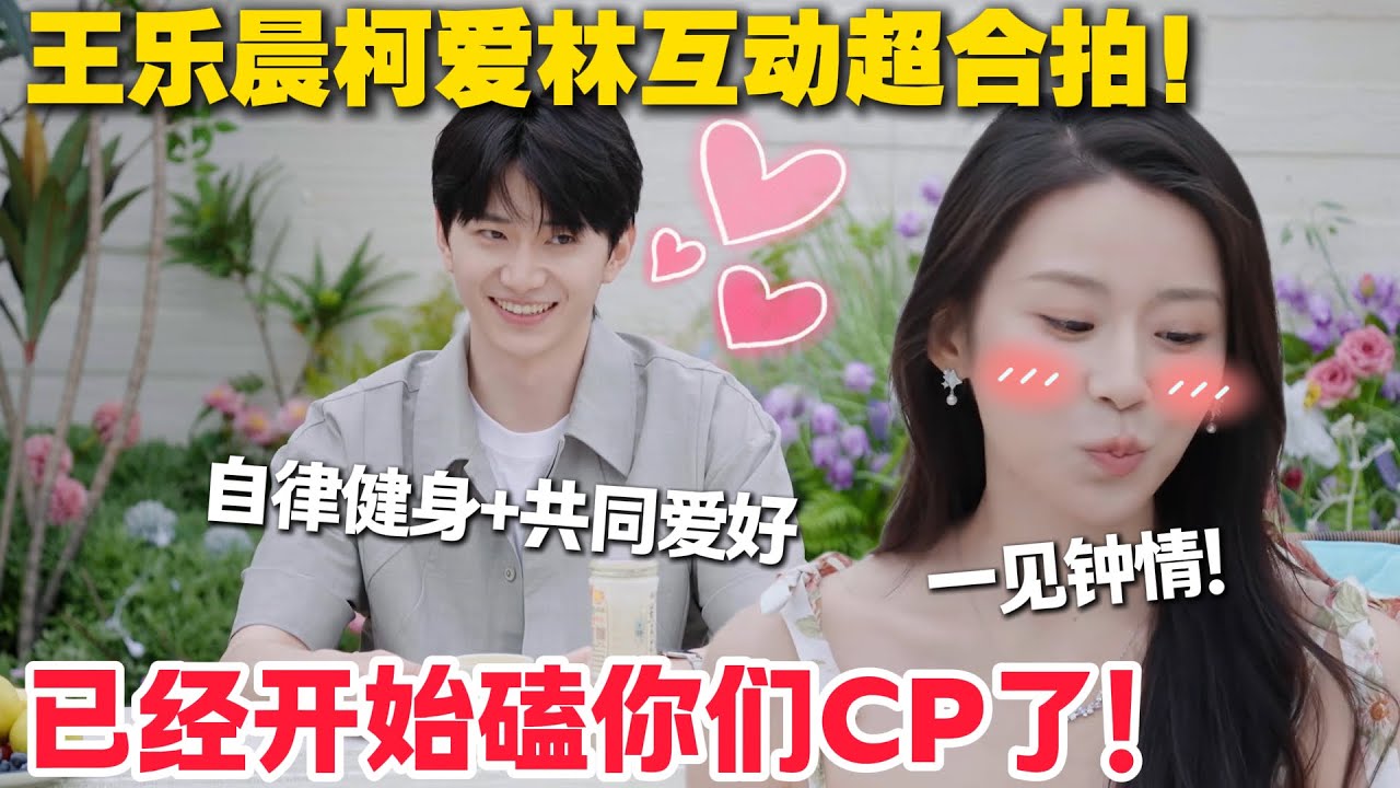 【心动的信号s8】旅行篇1-1：王乐晨柯爱林也太好嗑了吧！海岛初见满眼是彼此，空气里都是粉红泡泡！#心动的信号S8 #恋爱 #综艺show