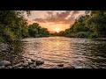 Sweet River Waves 🌊🍃 | Relaxing Nature Water Sounds & Beautiful Riverside Ambience
