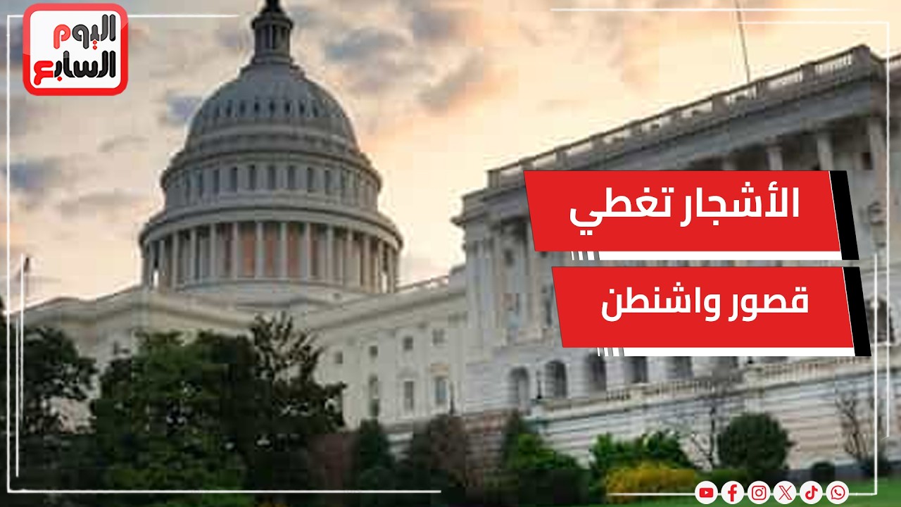 ������� ���� ���� ������ ��� ������ ��� ������� ����
 - نشر قبل 10 دقيقة