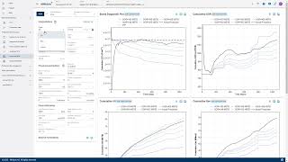 Tip Tuesday #66: Use Total Liquids in Numerical RTA Workflow in whitson+