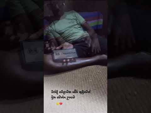 දානෙවත් ලැබෙන්නෙ නැති මරණ මේවා🥲💔