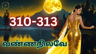 வண்ணநிலவே 310-313 // #tamilnovelsaudiobooks #tamilaudiobooks