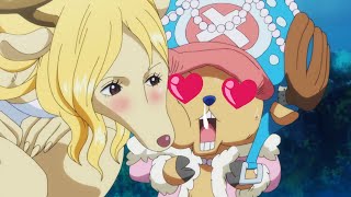 Finally Chopper Fell in Love With a Girl | One Piece