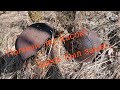 Ww2 warrelics searching. Военная археология. Лес касок..