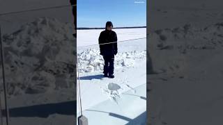Why Diving Into Snow Can Be Deadly! 😨❄️ #shorts #beyondtruth #survival