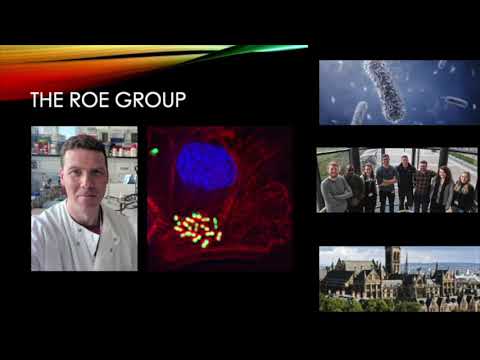 Prof Andrew Roe Lab Rotation Project - YouTube