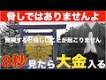 ※脅しではありません！今日必ず！無理してでも8秒でいいから見てください『無視した99%の人が後悔した伝説の動画』本当にバブルが来て大金・爆益を得ることができます！貧乏神や邪気、悪い流れを断ち切る祈願