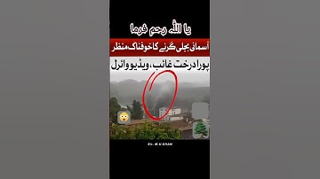 Lightning bolt has destroyed tree 🌲#lightning #sirmukhan #youtubeshorts #shorts #shortvideo #tree