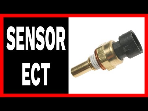Sensor ect corsa