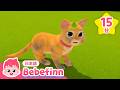 【子供向けアニメ】 ニャーニャー🐱かわいい こねこの ブー❣️ | ベベフィンのプレイタイム★ブー特集 | 赤ちゃんが喜ぶ | べべフィン Bebefinn - 子どもの歌
