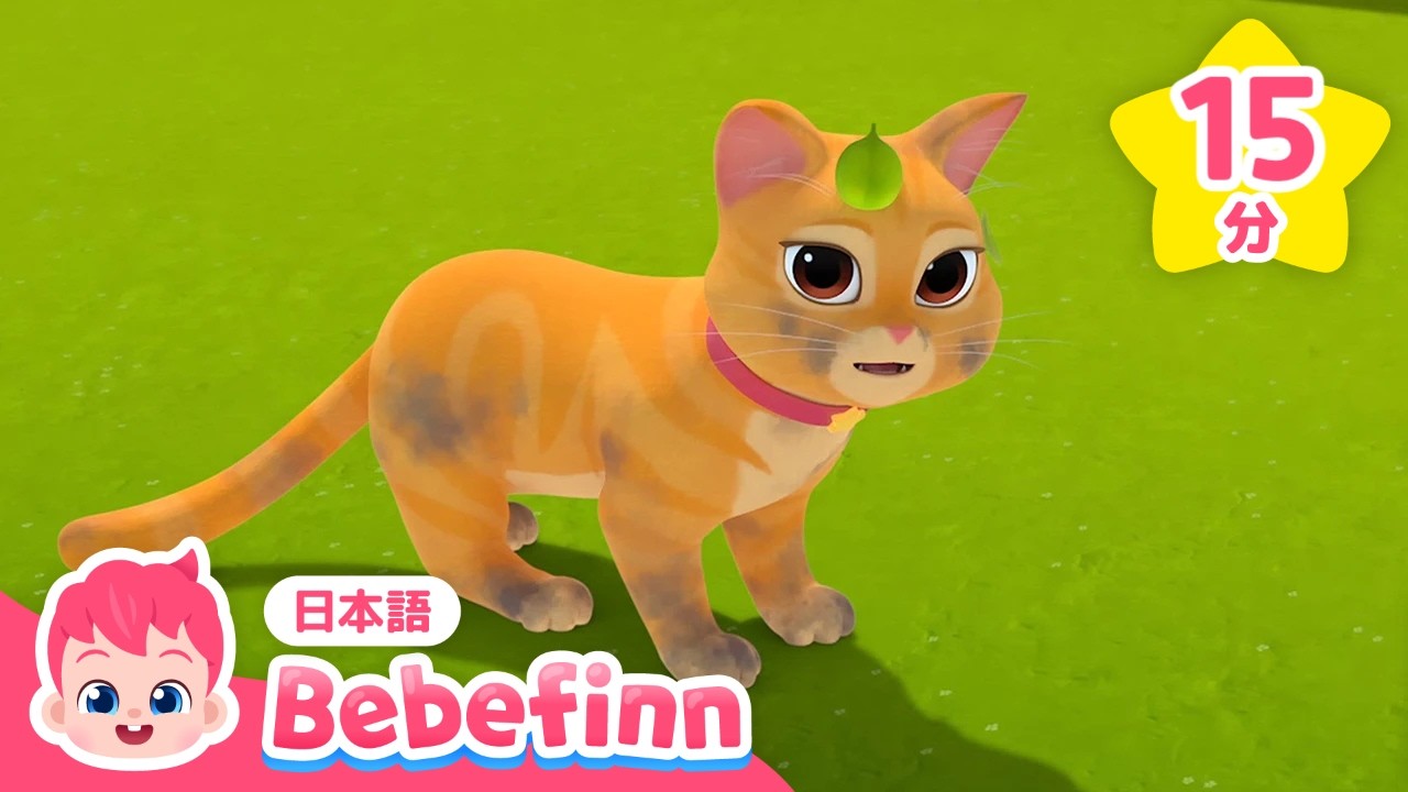 【子供向けアニメ】 ニャーニャー🐱かわいい こねこの ブー❣️ | ベベフィンのプレイタイム★ブー特集 | 赤ちゃんが喜ぶ | べべフィン Bebefinn - 子どもの歌