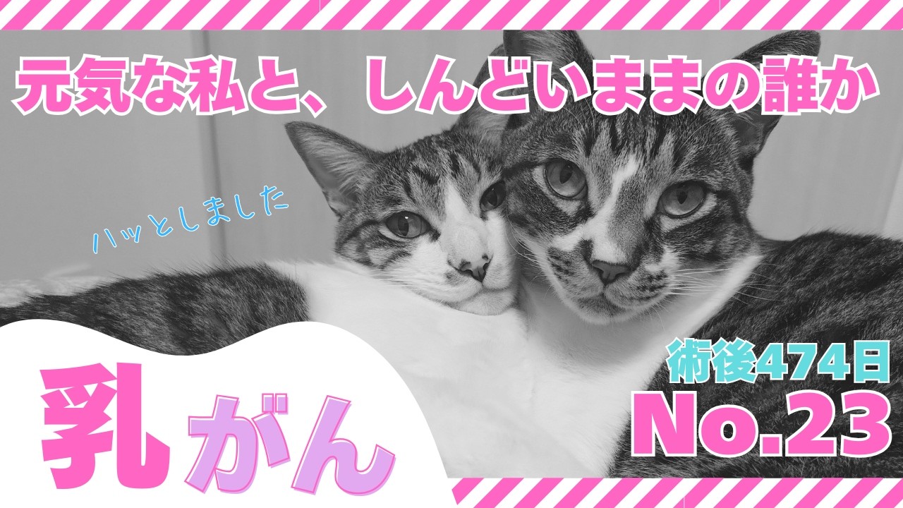 【乳がん記録 23】　術後474日 同じ病気でも違うしんどさ…病人扱いされる私、辛さを分かってもらえない人たちの話