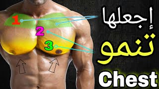 اقوى تمارين الصدرً وستهداف جميع مناطق الضعيفة كمال الاجسام - Chest Workout