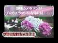 趣味カメラマンがプロになれる！？誰でもプロになれる可能性が・・・