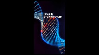 видео: Код ДНК - это инструкция. картинка: Код ДНК - это инструкция.