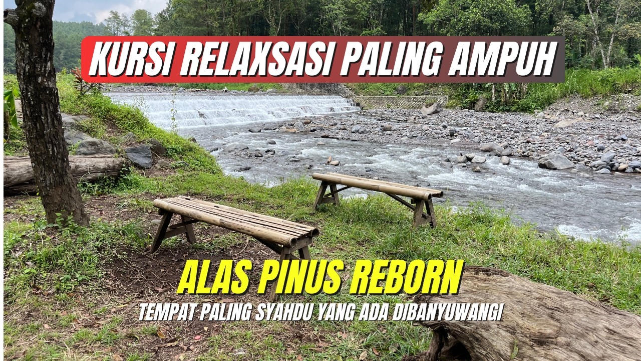 Viral! Bendungan di Alas Pinus Reborn Jadi Spot Favorit
