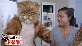 Muffin Walk The Prank Disney Xd