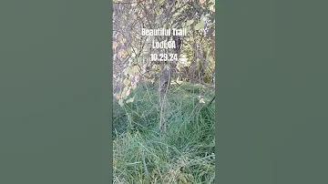 Naturelovers Lodi California Trail Peace Peaceful Relaxing Godsbeauty Northerncalifornia 