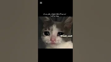 فيديو الميمز رقم 2 Subwaysurfers Games Gaming Memes Minecraft ولده اكسبلور شلتنا اكسبلور 