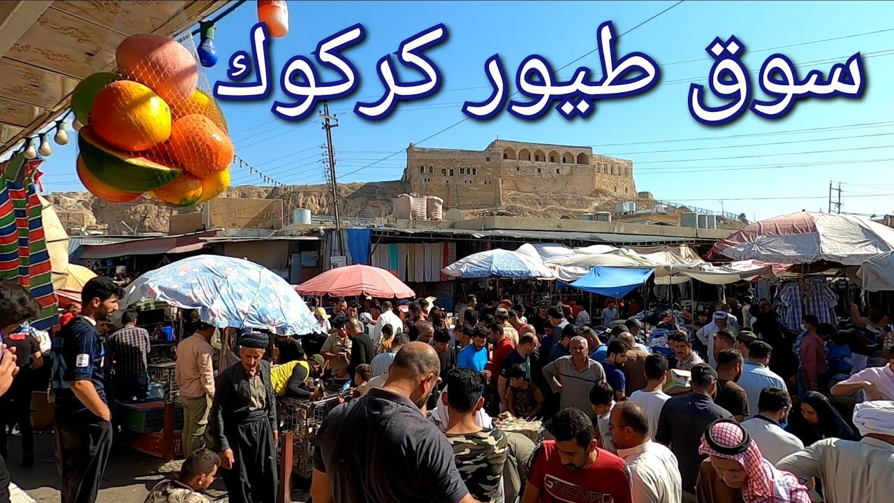 جولة في سوق الطيور ،سوق القلعة مدينة كركوك ،نتعرف على انواع الدجاج و الأسعار. (45)