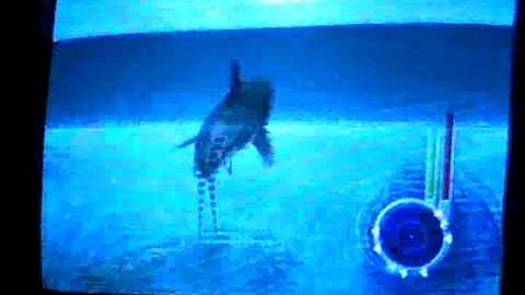 Jaws unleashed:Open Ocean West-Ps2 gaming