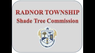 Shade Tree Commission - July 17, 2019