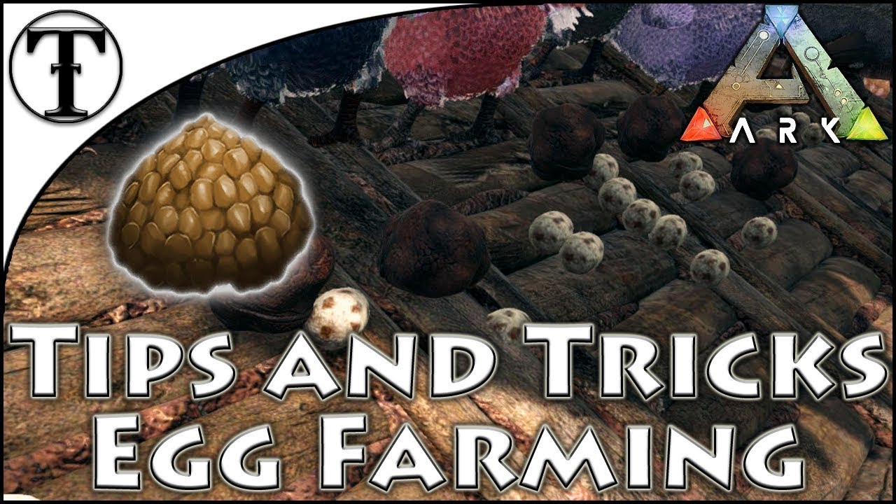 Egg Farming for the Kibble Rework  Ark  Survival Evolved Tips and Tricks