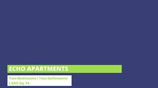 Echo Apartments, Dallas, TX: 1-Bedroom