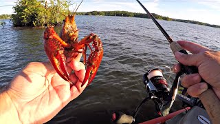 Fishing With Live Crawfish On Lake Martin Spotted B