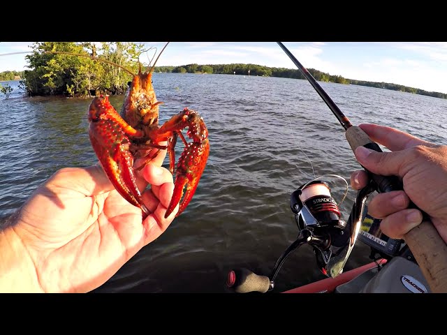 catching crawfish with a fishing pole Fishing with Live Crawfish on Lake Martin (Spotted Bass)