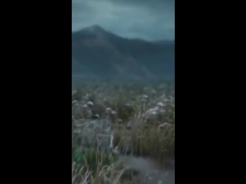 😮이것이 진짜 무협이다! ‘사도인’ VS ‘검광’, 전설적인 대결 장면 압권! ⚔️ | iQIYI 한글자막 영화