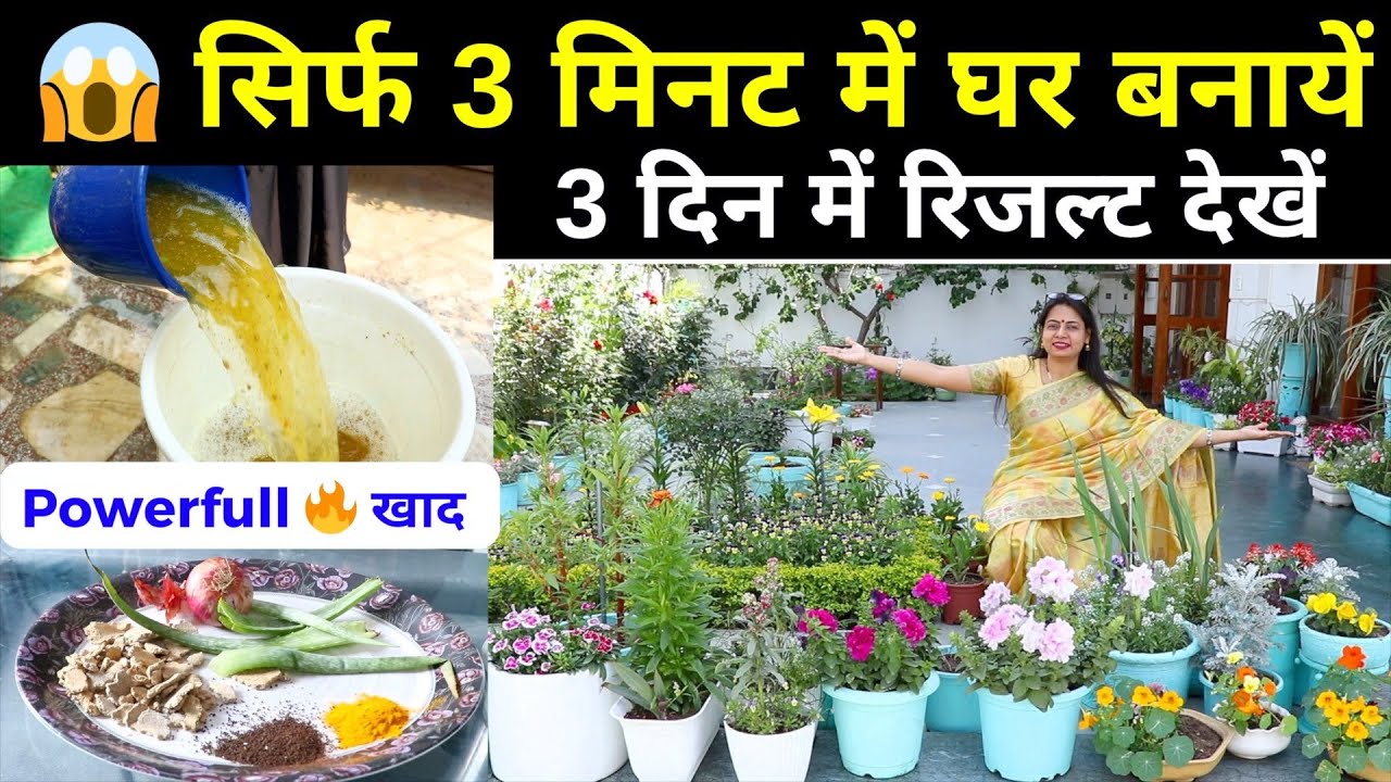Homemade Powerful 🔥 Liquid Fertilizer, 3 मिनट में तैयार, Instant Result || Unique farming