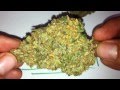 Knottyys chemdawg 4