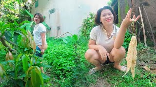 Super Delicious With The Dish Pig Intestines Sauteed Pickles - Linh2493Km