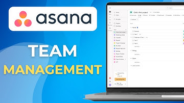 Asana Team Management How To Use Asana As A Team